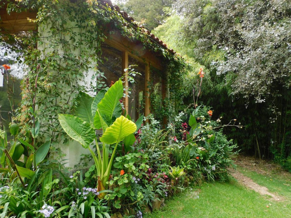 San Nicolas By Rotamundos San Cristóbal de Las Casas Eksteriør bilde